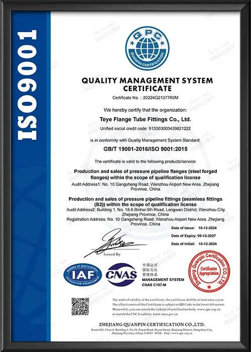 质量管理体系认证证书-英文